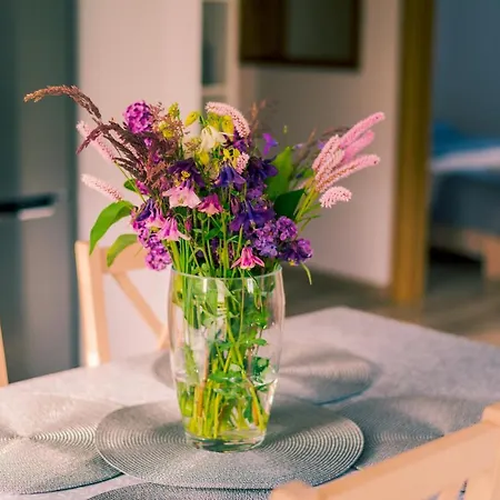 Miedzy Cisza A Cisza - Caloroczne