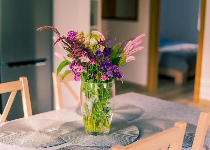 Miedzy Cisza A Cisza - Caloroczne