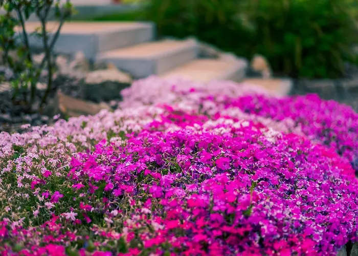 Miedzy Cisza A Cisza - Caloroczne Polanica-Zdrój